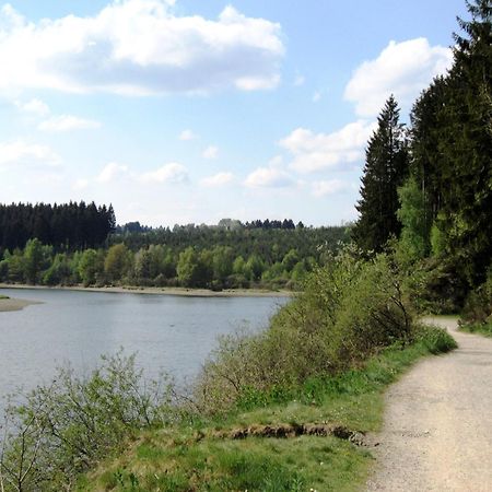 Boutique Chalet In B Llingen Near Lake Wirtzfeld Экстерьер фото