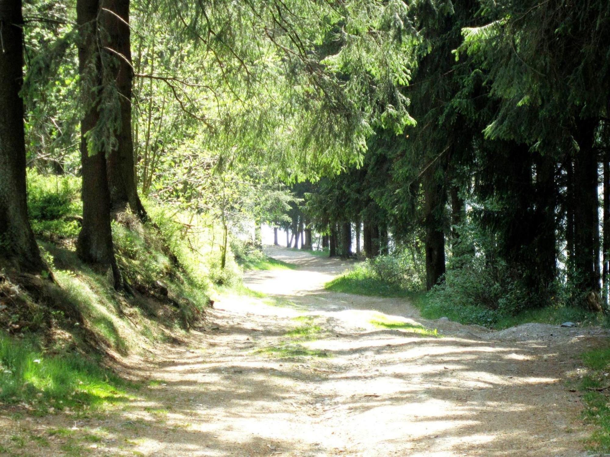 Boutique Chalet In B Llingen Near Lake Wirtzfeld Экстерьер фото
